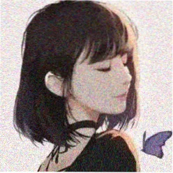 旧梦不须记